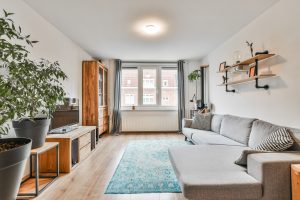 cozy living room of a modern apartment